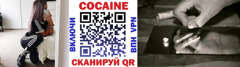 KRAKEN сайт  Кувшиново  Cocaine Fish Scale 