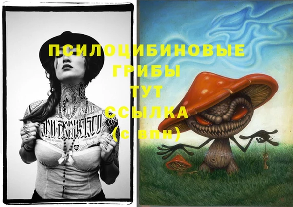 гидропоника Армянск